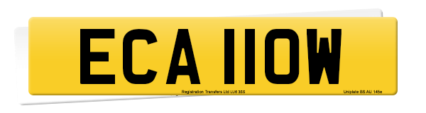 Registration number ECA 110W